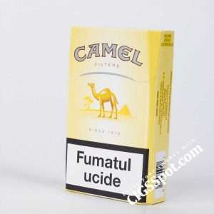 Camel Filters